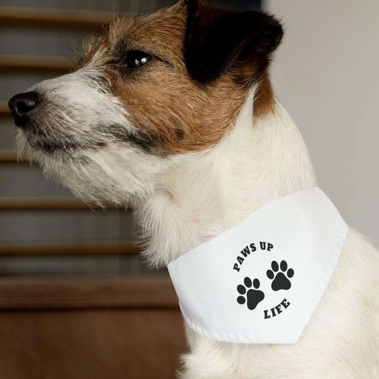 Pet Bandana Collar| Paws Up Life Logo| Gift For Him| Gift For Her| Dog Gift| New Pet Owner| New Puppy| Pet Adoption|