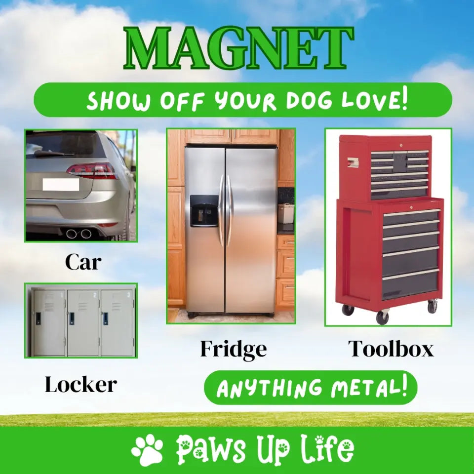 Magnet | Vote for My Dog Campaign Personalized Car Bumper Fridge Magnet