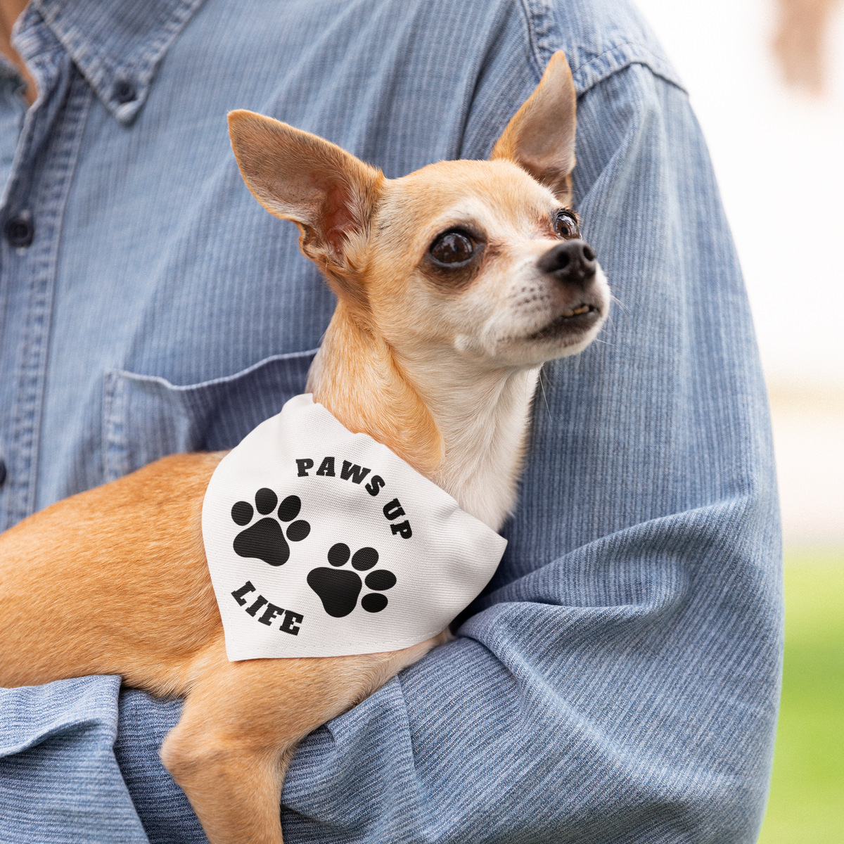 Pet Bandana Collar| Paws Up Life Logo| Gift For Him| Gift For Her| Dog Gift| New Pet Owner| New Puppy| Pet Adoption|