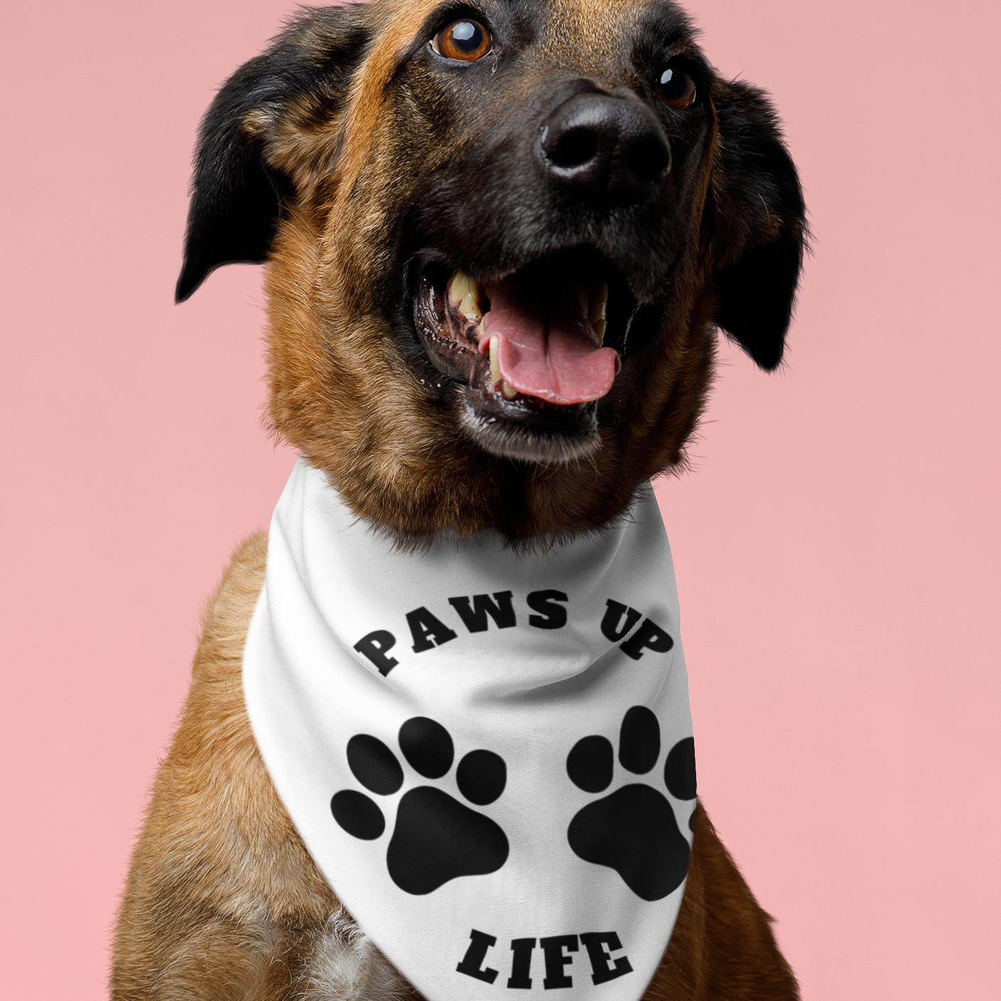 Pet Bandana Collar| Paws Up Life Logo| Gift For Him| Gift For Her| Dog Gift| New Pet Owner| New Puppy| Pet Adoption|