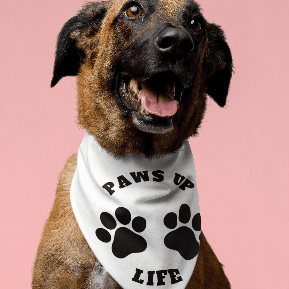 Pet Bandana Collar| Paws Up Life Logo| Gift For Him| Gift For Her| Dog Gift| New Pet Owner| New Puppy| Pet Adoption| | Paws Up Life, LLC